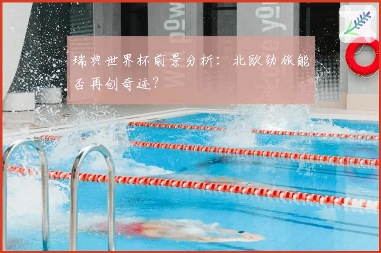 瑞典世界杯前景分析:北欧劲旅能否再创奇迹?