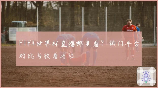 FIFA世界杯直播哪里看？热门平台对比与收看方法