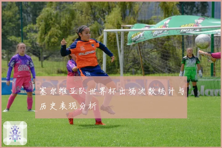 塞尔维亚队世界杯出场次数统计与历史表现分析