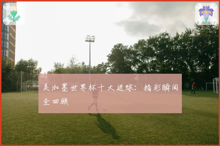 美加墨世界杯十大进球：精彩瞬间全回顾